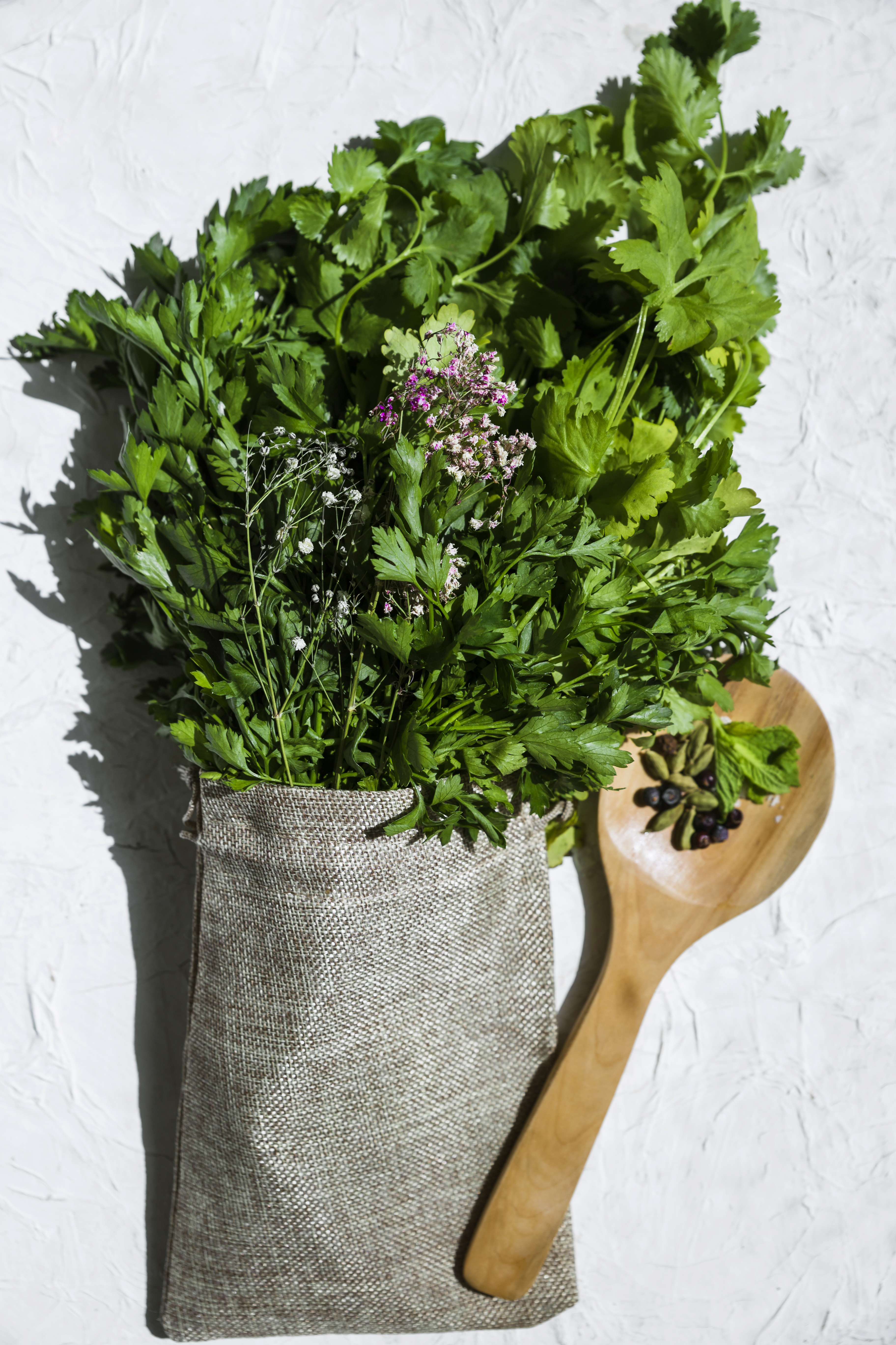 Plantas comestíveis